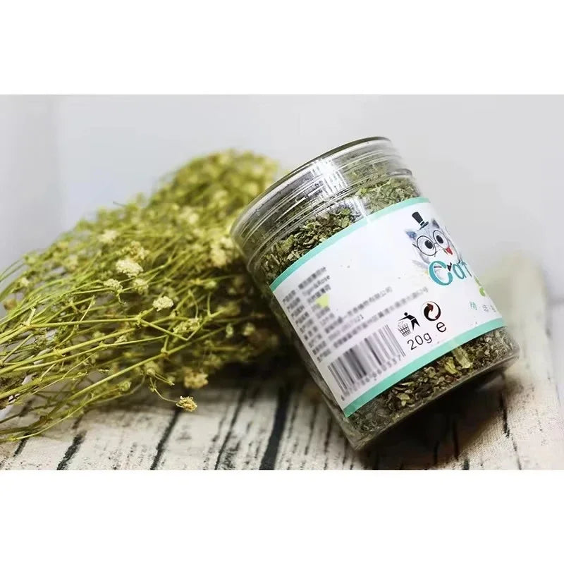 5-40g Organic 100% Cat Nip Natural Catnip Toy Cattle Grass Mint Taste Funny Cat Toy New Cat Interactive Cat Toys Pet Supplies