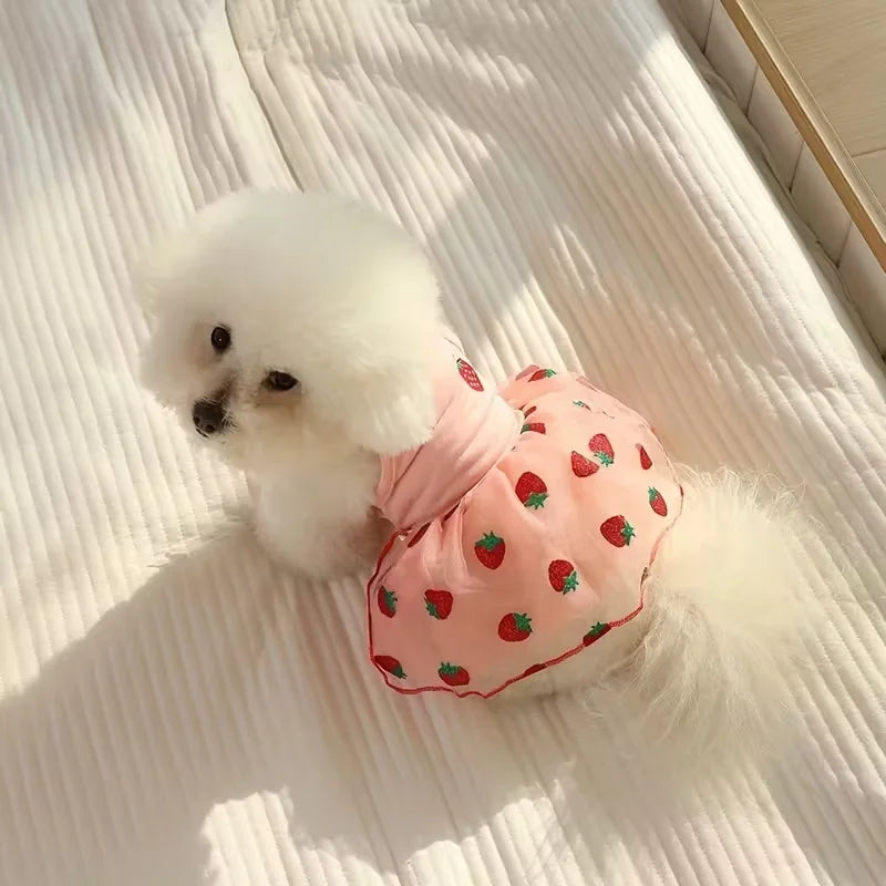 Floral Summer Dress for Small Dogs, XS–XL