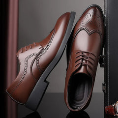 AscendCraft Leather Oxfords