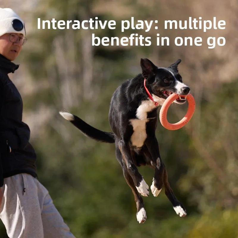 Bite-Resistant Soft Pull-Ring Frisbee Dog Training TPR Material Can Float Water Dog Training Interactive Pet Toys Pet Products