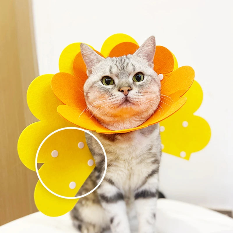 Adjustable Pet Recovery Cone Collar for Dogs and Cats