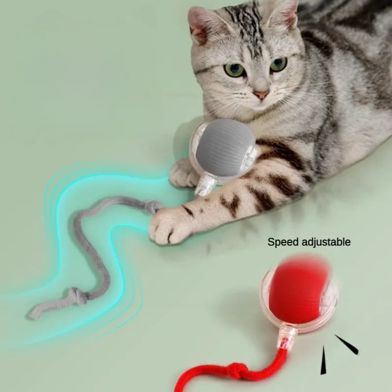 Rechargeable Rolling Teaser Ball Toy for Kittens & Cats