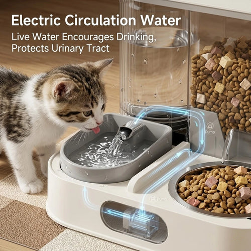 2-in-1 Cat Food Bowl and Water Fountain Feeding Dish