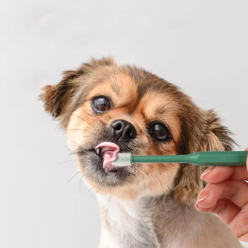 Soft-Bristle Cat Toothbrush for Mouth Cleaning