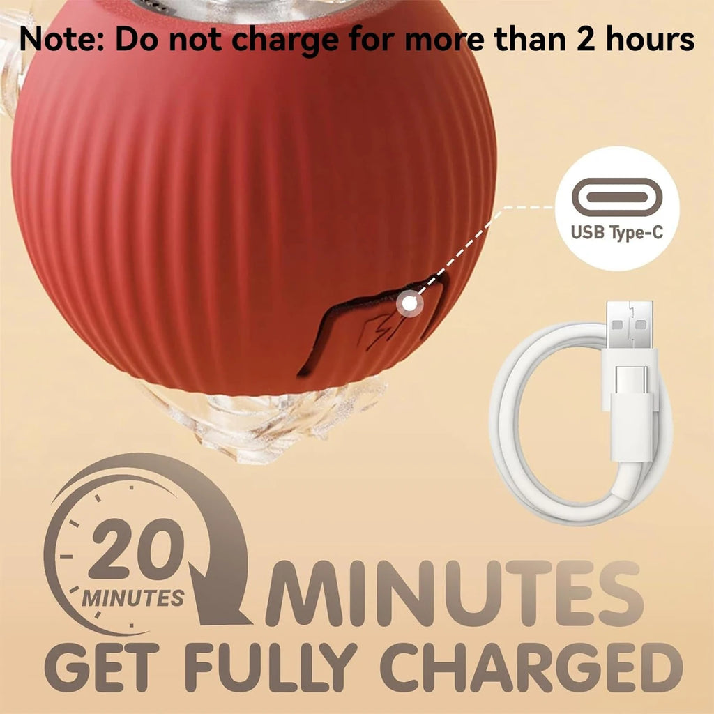 Dog Toy Rolling Ball Cat Rechargeable Interactive Dogs Toys Throwing Balls Cats Pussy