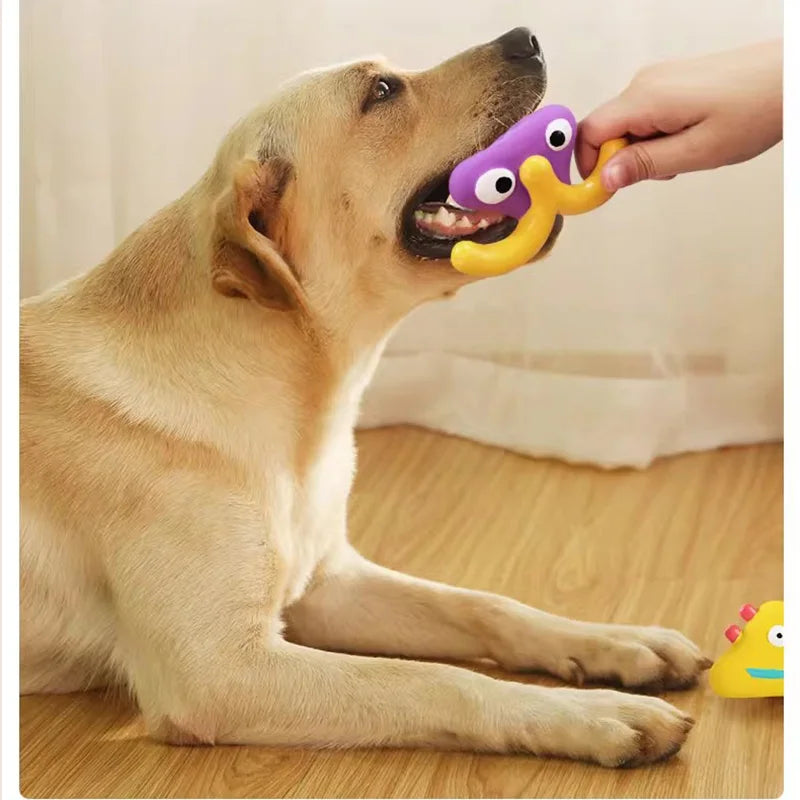 Pet Squeaky Toys Pet Ball Toys Dog Chewing Rubber Ball Cleaning Tooth Dog Chew Toy For Dogs Bite Resistant Sounder Pet Supplies