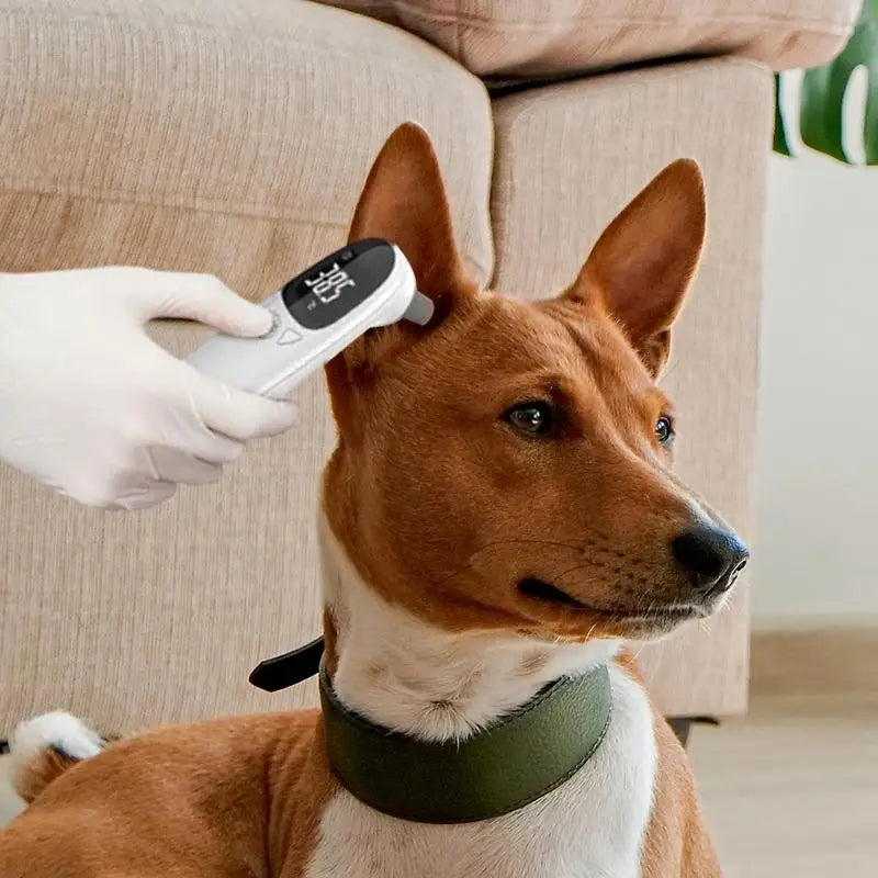 Pet Ear Digital Thermometer Non-Contact Electronic Dog Ear Thermometers Dogs Puppy Cats Measuring for Veterinary Pet Supplies