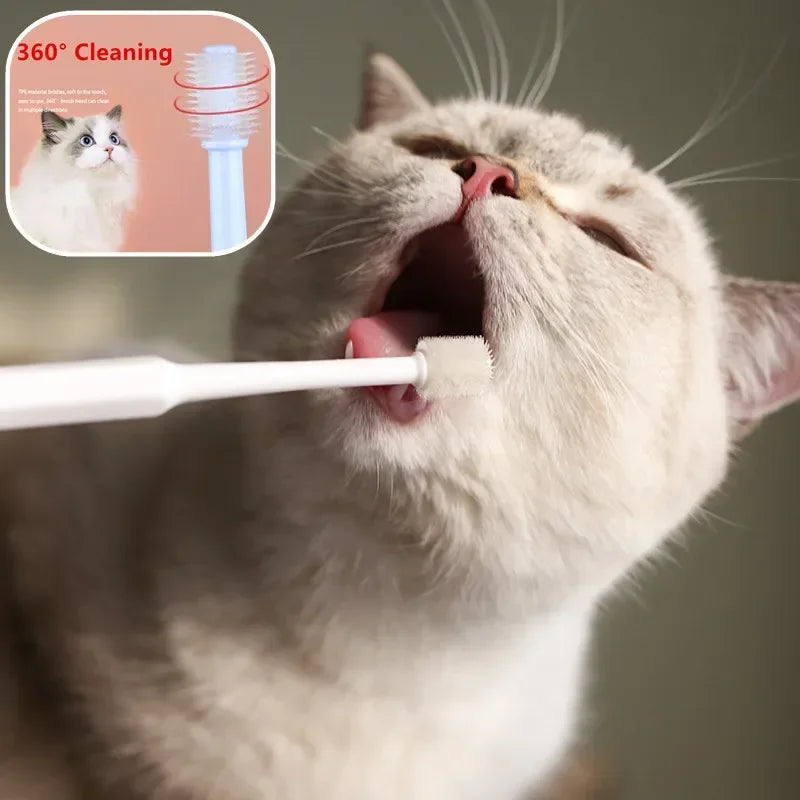 Soft-Bristle Cat Toothbrush for Mouth Cleaning