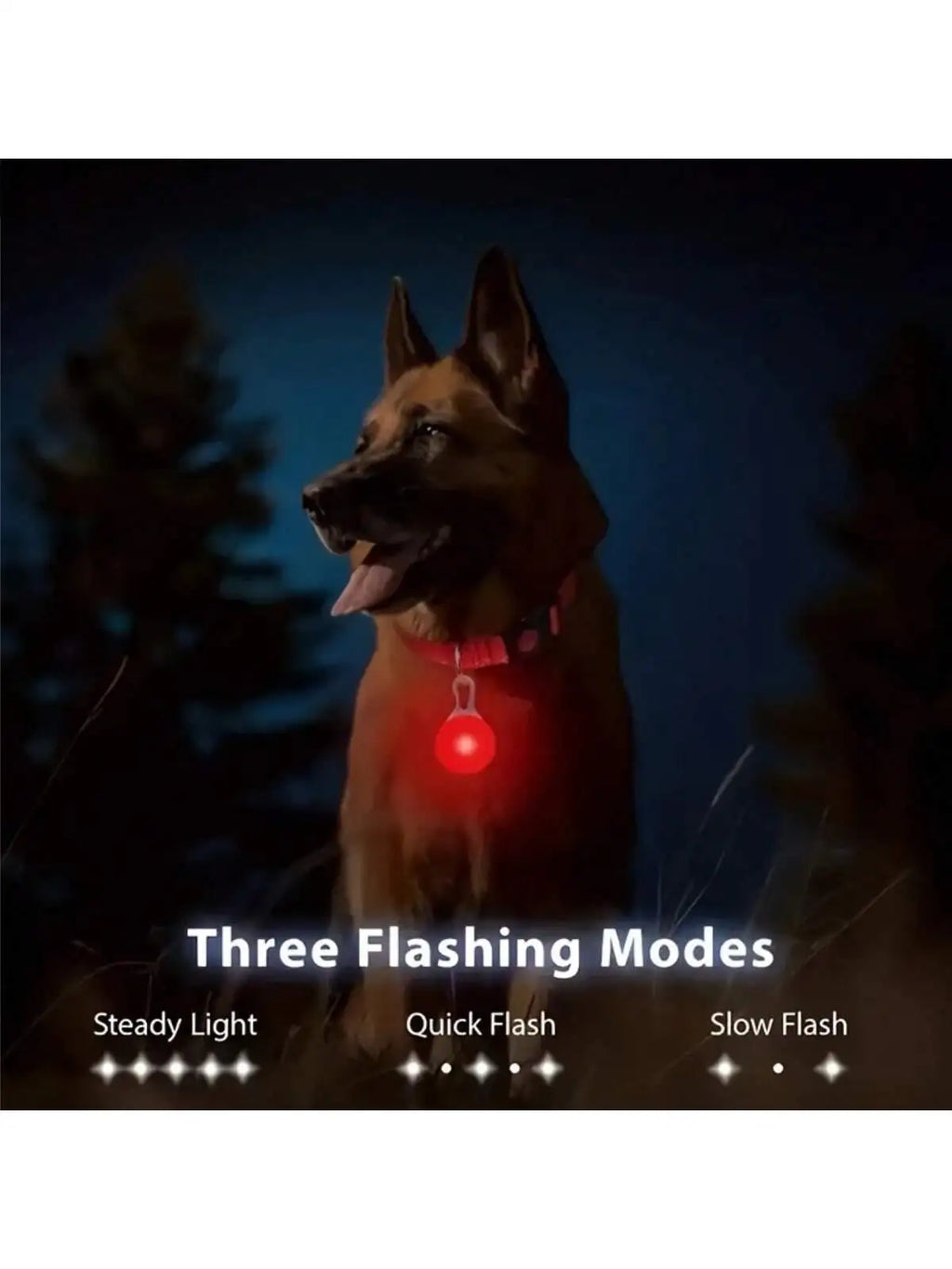 LED Dog Collar Pendant, Glow Clip in 4 Colors