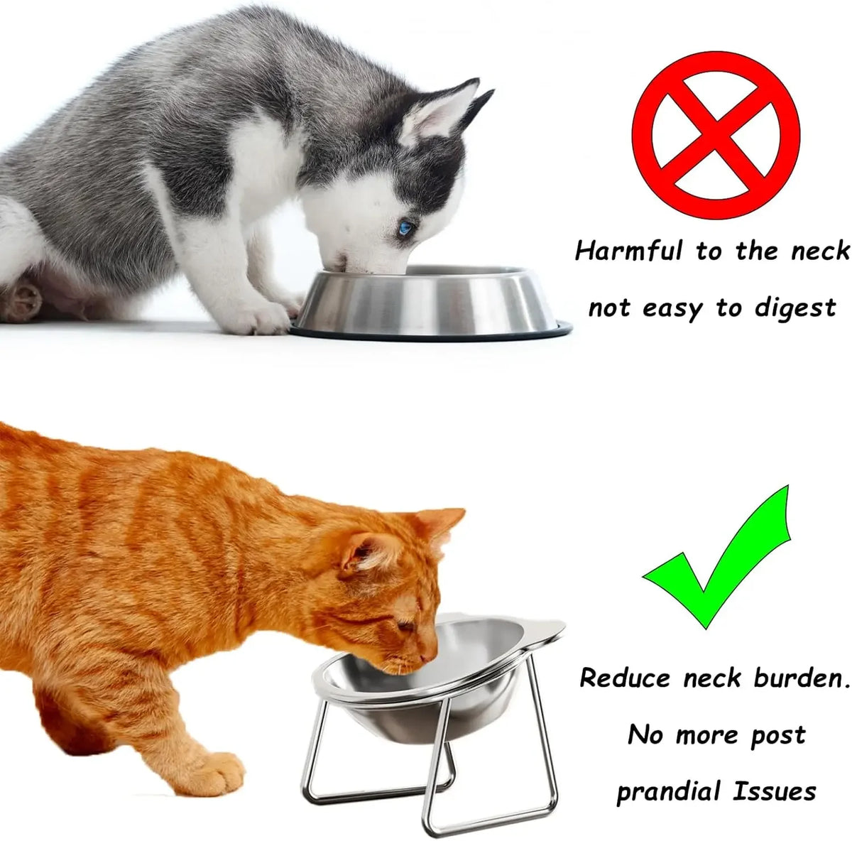 Stainless Steel Cat Bowl with Raised Metal Stand