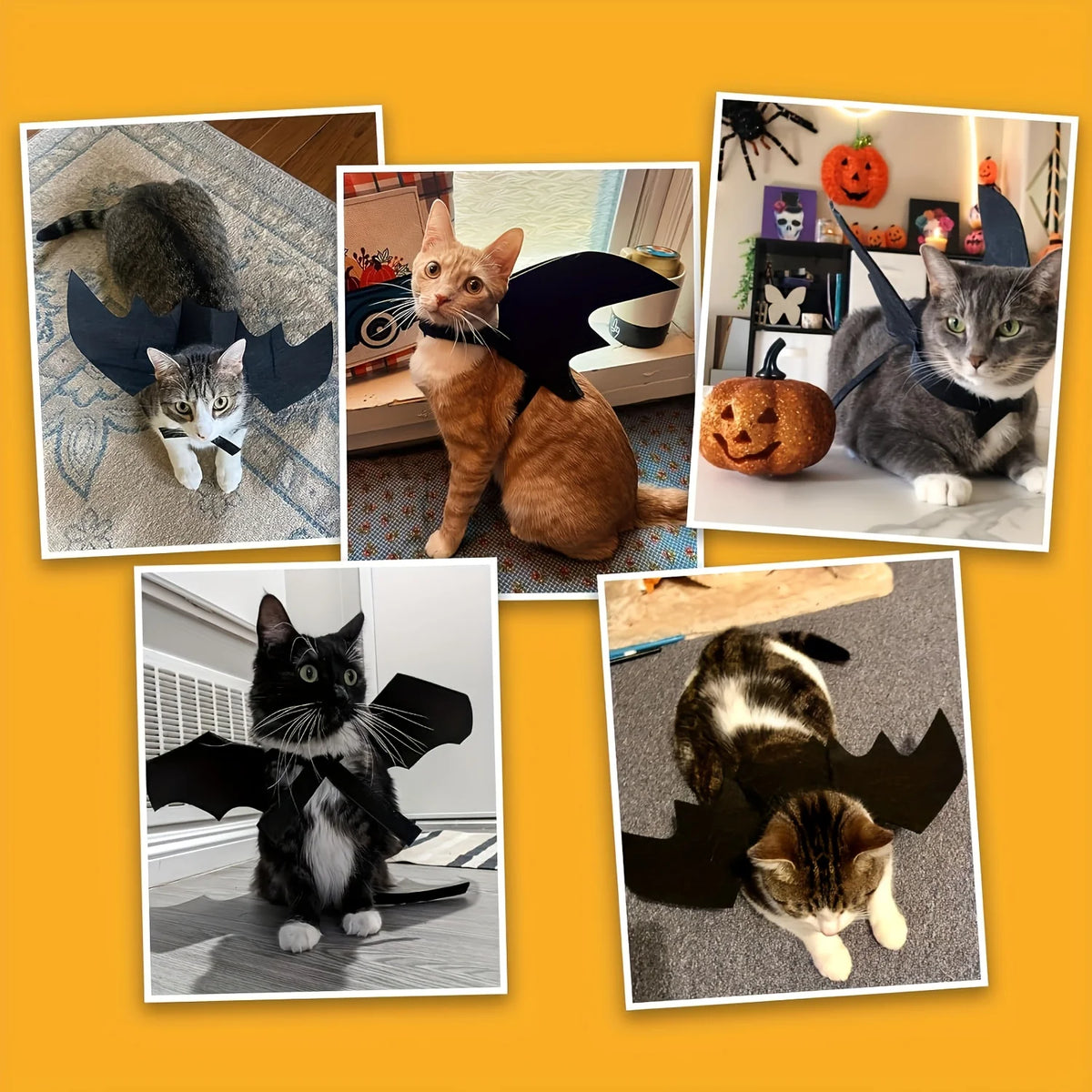 Pet Bat Wings Adjustable Costume, Soft Polyester Material, Cute Cosplay Outfit for Cats Small Dogs Halloween Party