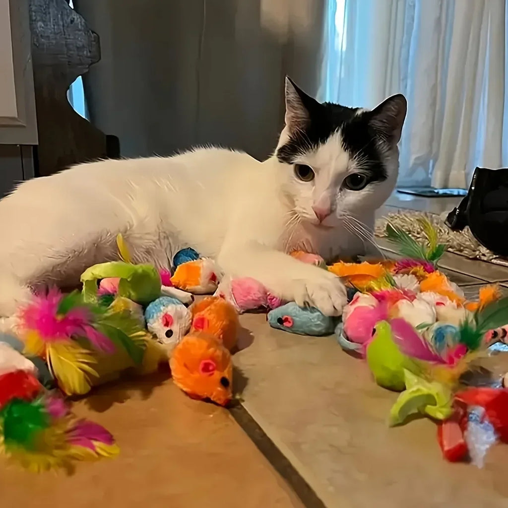 Cat Toy Variety Pack, 14, 28 or 56 Pieces