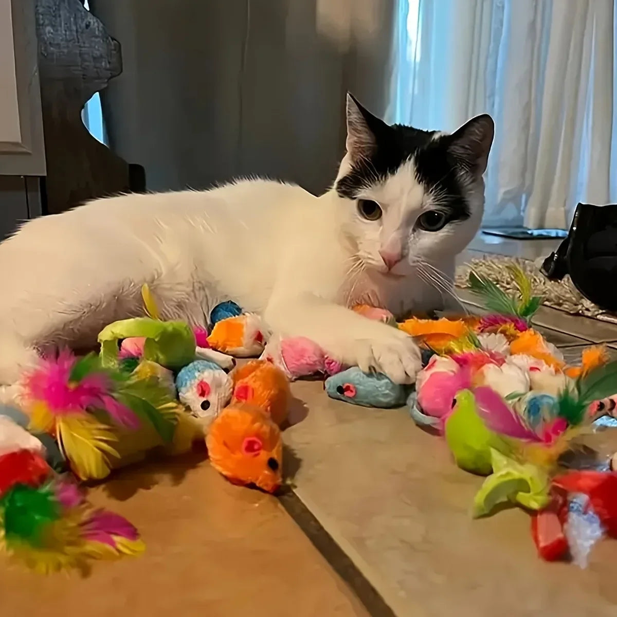 Cat Toy Variety Pack, 14, 28 or 56 Pieces