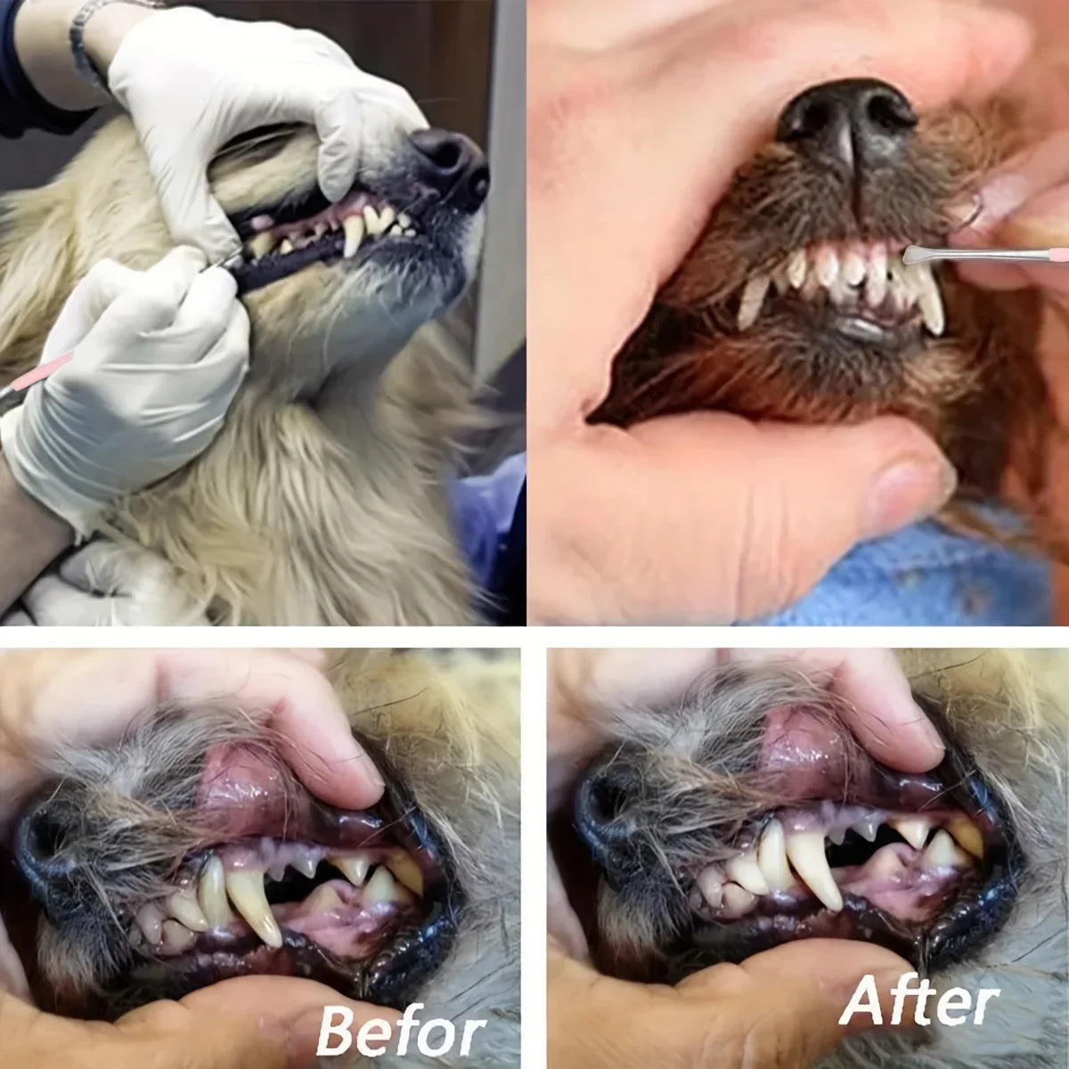 1PC -Pet teeth cleaning tool, double-sided dog and cat tartar remover, tartar toothbrush, pet supplies
