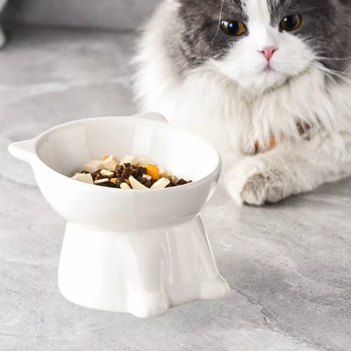 15-Degree Tilted Raised Cat Bowl with Anti-Tip Base