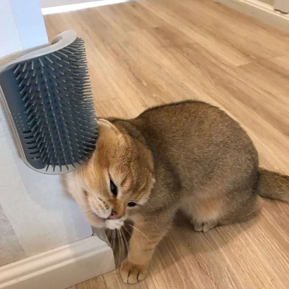 Cat Corner Grooming Massager with Adhesive Mount