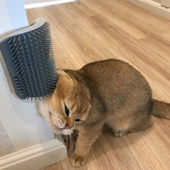 Cat Corner Grooming Massager with Adhesive Mount