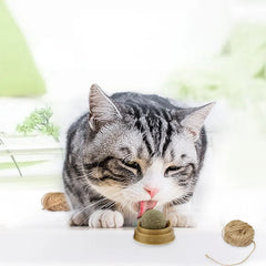 Catnip Balls Cat Treats: Fun, Healthy, and Irresistible for Your Cat 🐾 (3pcs)