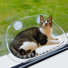 CatLounge  | Ultimate comfort and entertainment for your cat