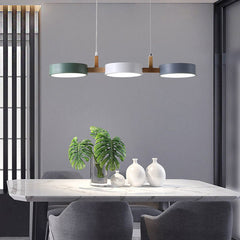 Modern Metal Pendant Ceiling Light with Nordic Design for Kitchen and Living Room
