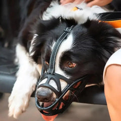 Sable Dog Muzzle | Comfortable Anti-Bite Solution