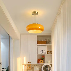 Vintage Round Glass Ceiling Light Fixture – Elegant Iron and Glass Design