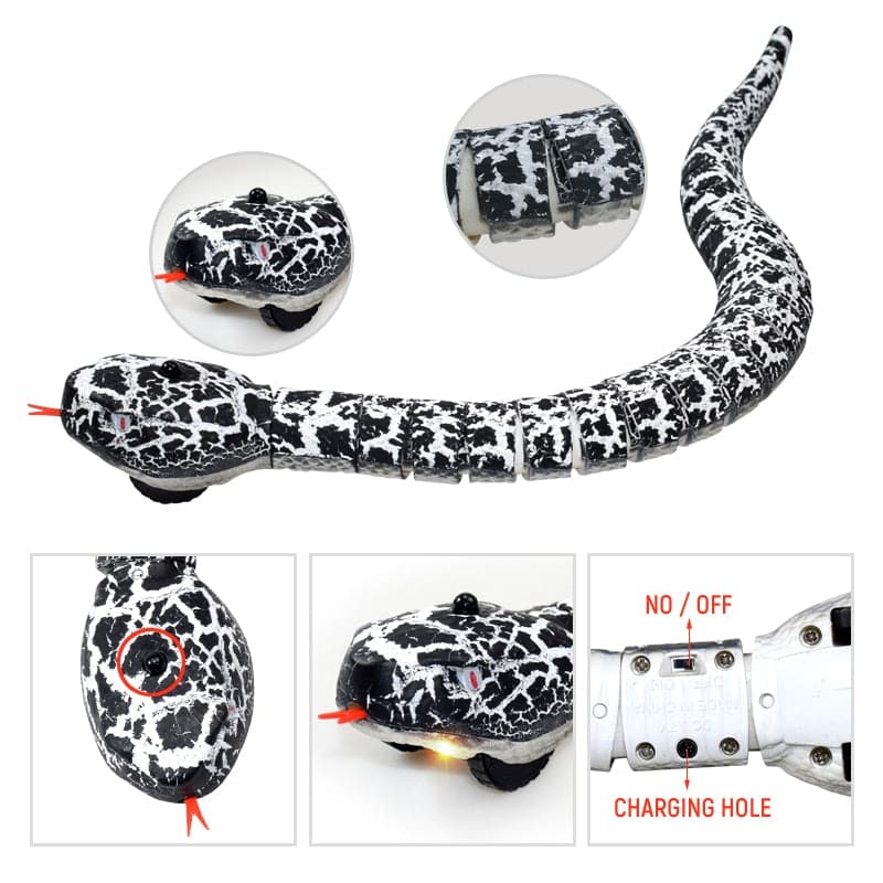 Fun RC Snake Toy DYLINOSHOP