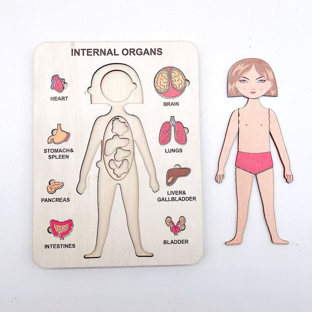 Human Body Wooden Puzzle feajoy