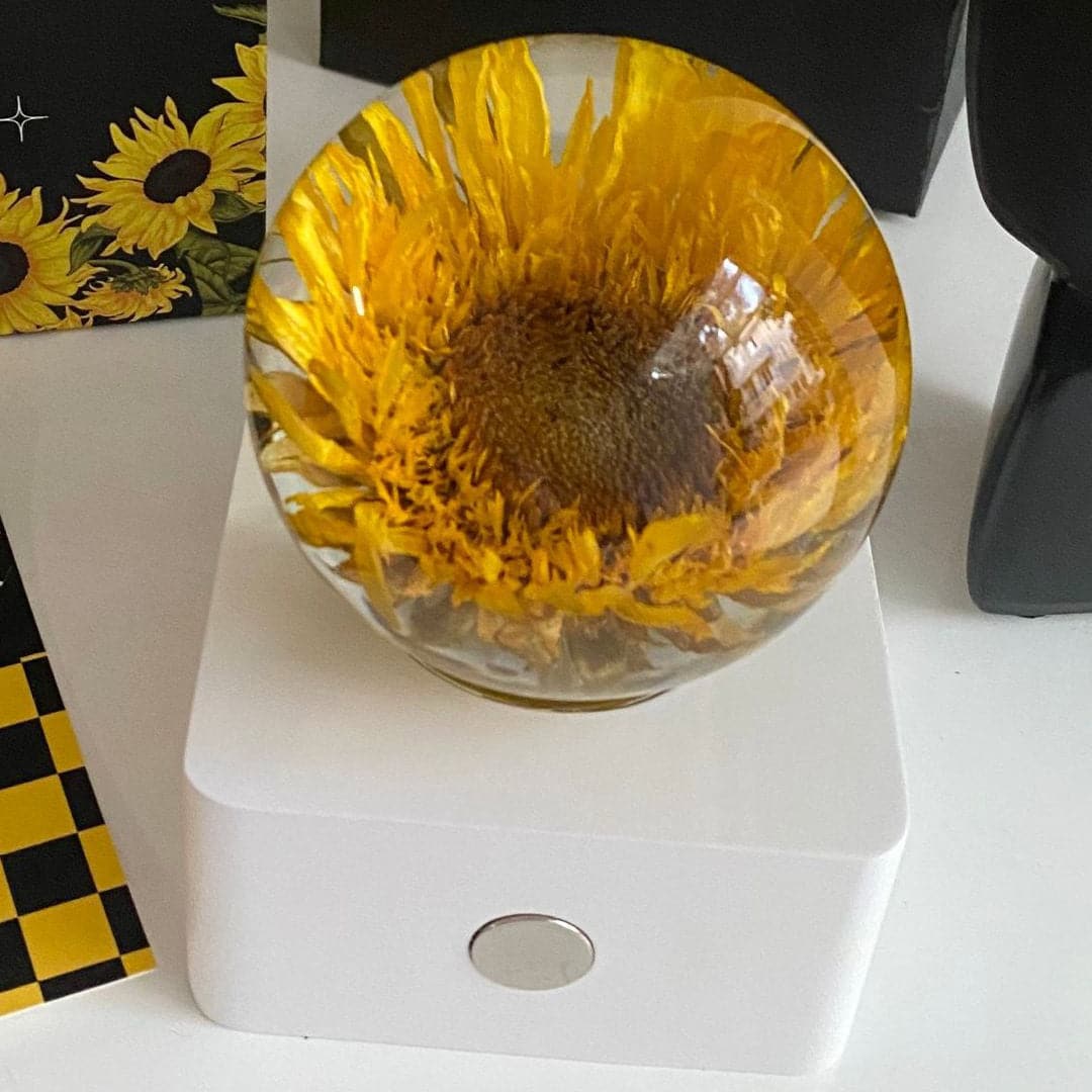 Sunflower Night light feajoy