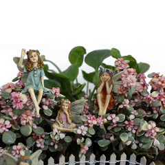 Flower Fairies Statues Decoration Feajoy