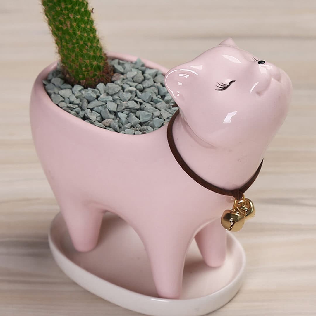 Cat Tail Cactus Ceramic Flowerpot dylinoshop