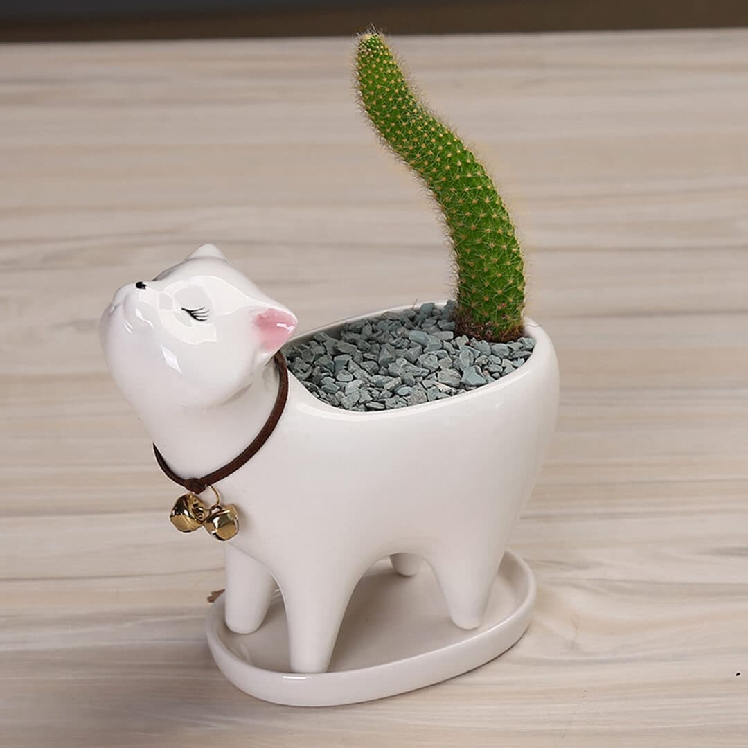 Cat Tail Cactus Ceramic Flowerpot dylinoshop