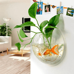 Creative Wall Hanging Transparent Glass Vase Fish Tank Hydroponic Living Room Home Decor MRSLM