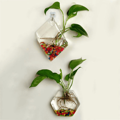 Creative Wall Hanging Transparent Glass Vase Fish Tank Hydroponic Living Room Home Decor MRSLM