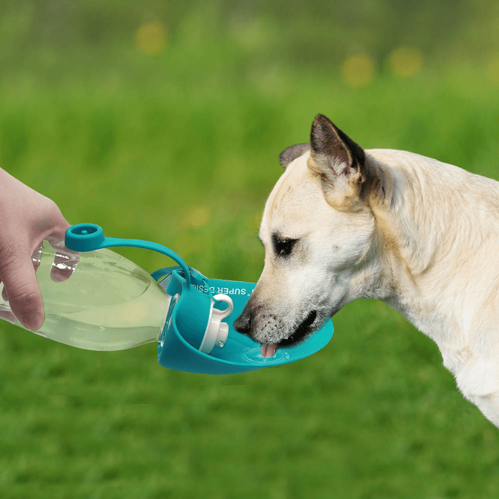 650Ml Sport Portable Leaf Pet Dog Water Bottle Expandable Silicone Travel Dog Bottles Bowl for Puppy Cat MRSLM