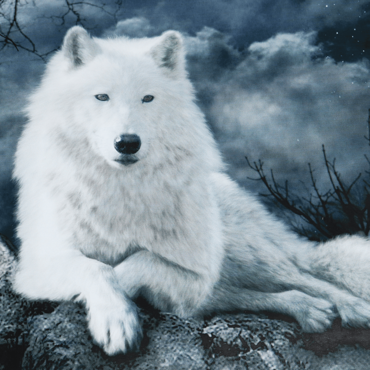 White Wolf Stone Canvas Wall Paintings Frameless Pictures Art Home Decor MRSLM