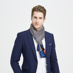 Double-Sided Scarf Silk Men'S Silk Scarf Long dylinoshop