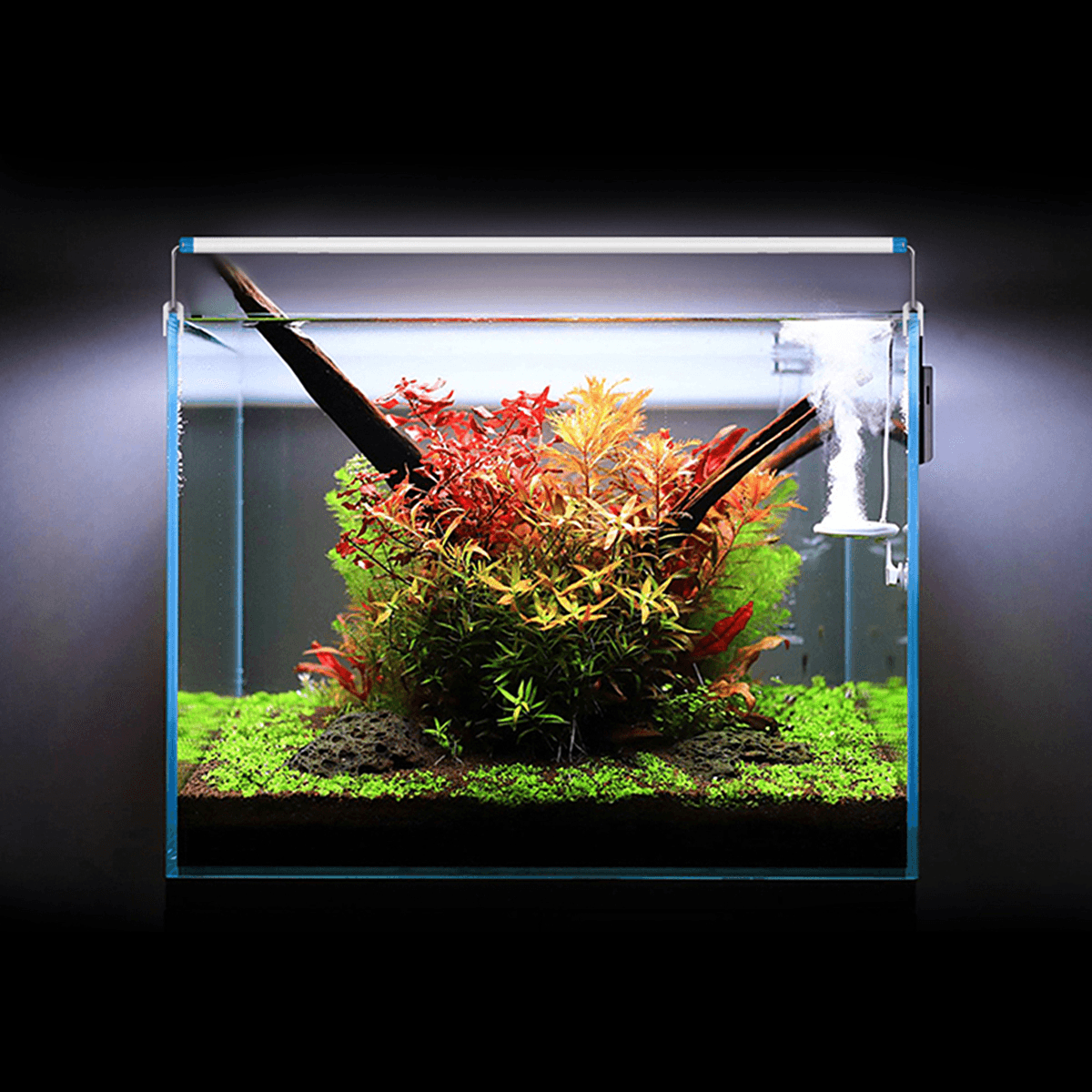 18-48CM Fish Tank Lamp Aquarium LED Lighting with Extendable Brackets White and Blue Leds Fits for Aquarium dylinoshop