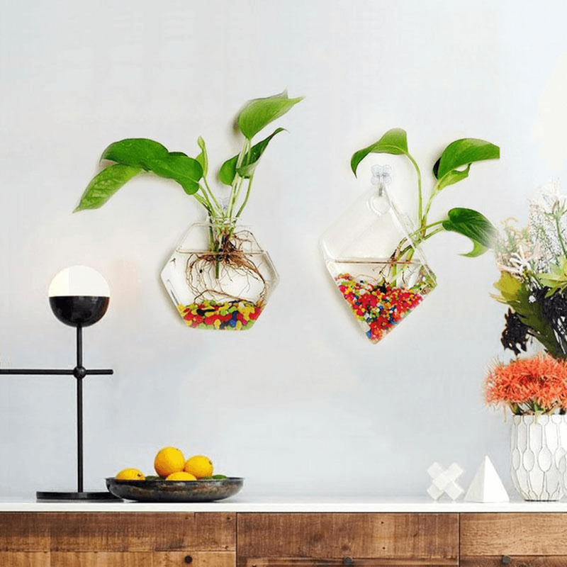 Creative Wall Hanging Transparent Glass Vase Fish Tank Hydroponic Living Room Home Decor MRSLM