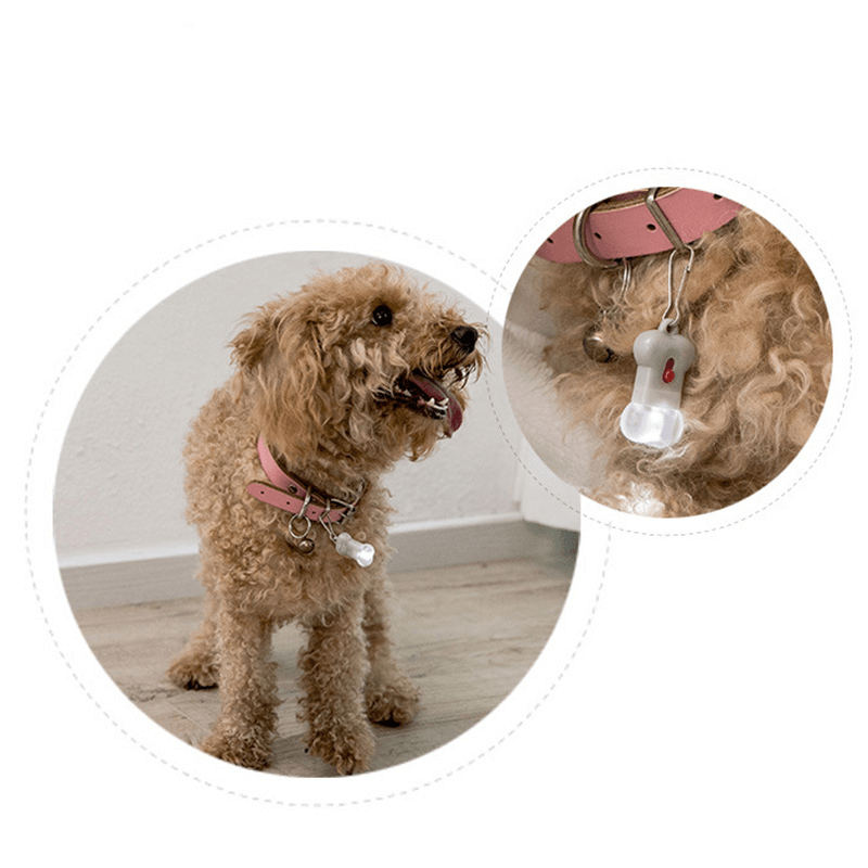 Jodan&Judy Bone Label Light Pet Tag Light Bulb Outdoor Dog Floodlight Missing Warning Light Pet Supplies From MRSLM