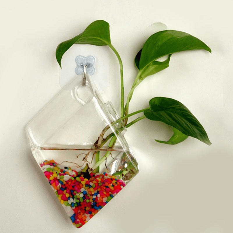 Creative Wall Hanging Transparent Glass Vase Fish Tank Hydroponic Living Room Home Decor MRSLM