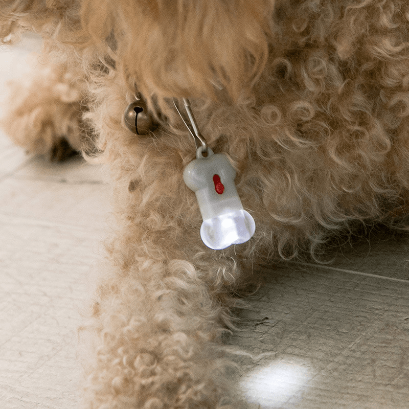 Jodan&Judy Bone Label Light Pet Tag Light Bulb Outdoor Dog Floodlight Missing Warning Light Pet Supplies From MRSLM