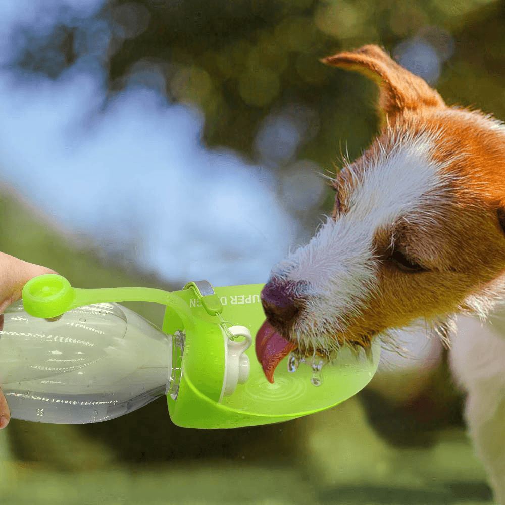 650Ml Sport Portable Leaf Pet Dog Water Bottle Expandable Silicone Travel Dog Bottles Bowl for Puppy Cat MRSLM