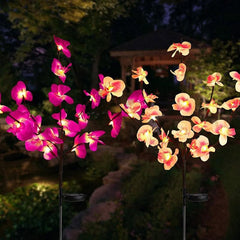 20 Flower Solar Orchid Lights dylinoshop