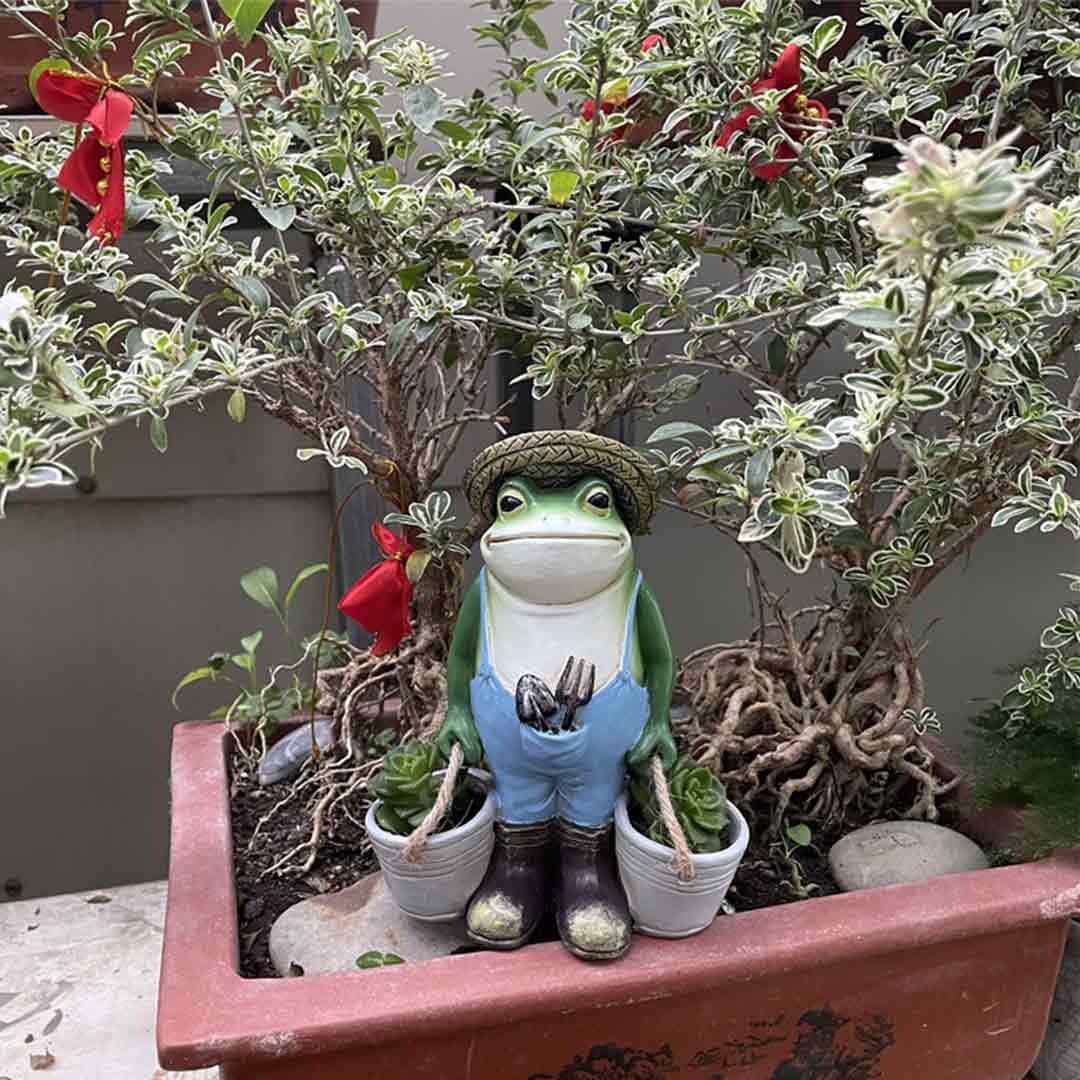 Gardener Frog Feajoy