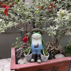 Gardener Frog Feajoy