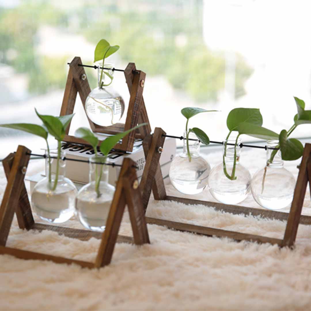 Transparent Glass Bulb Planter Feajoy