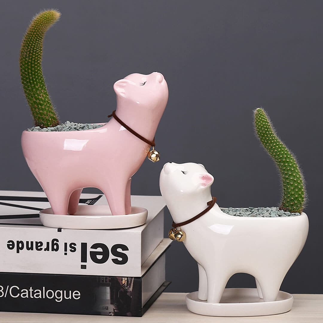 Cat Tail Cactus Ceramic Flowerpot dylinoshop