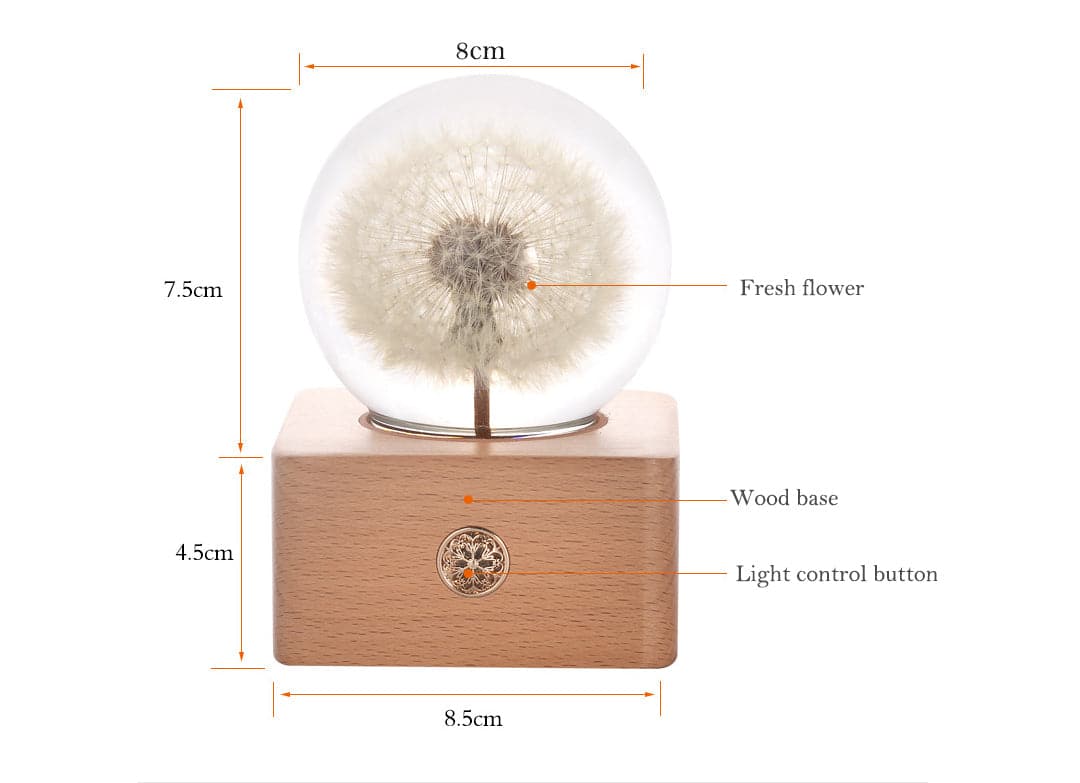 Fresh Flower Night light Feajoy