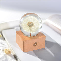 Fresh Flower Night light Feajoy